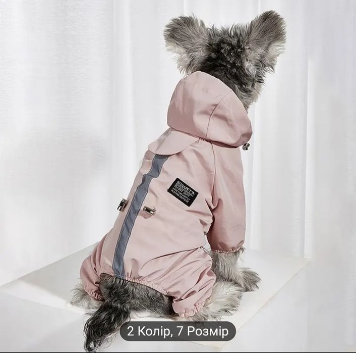 Костюмы для собаки