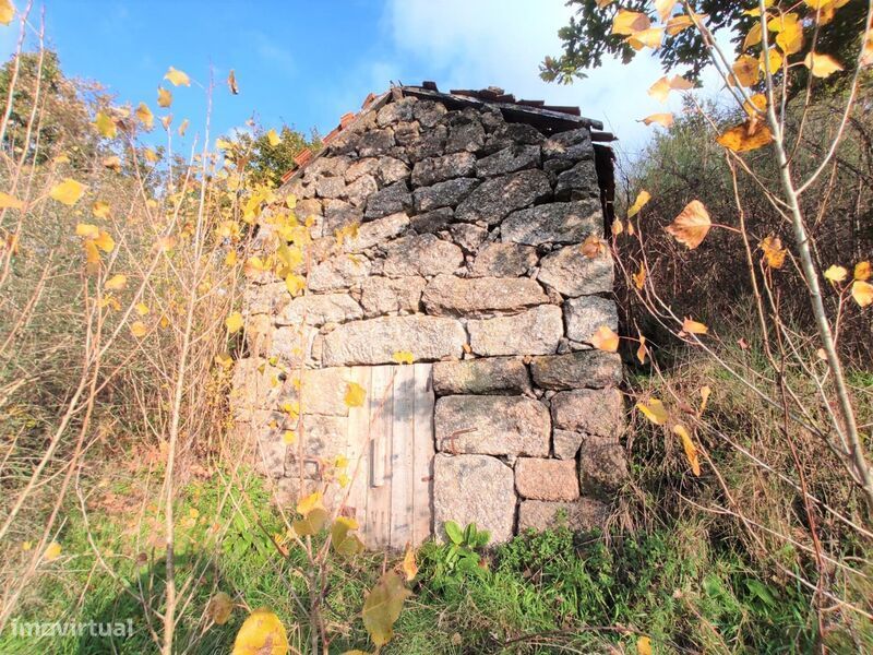Terreno / Baião, Gove