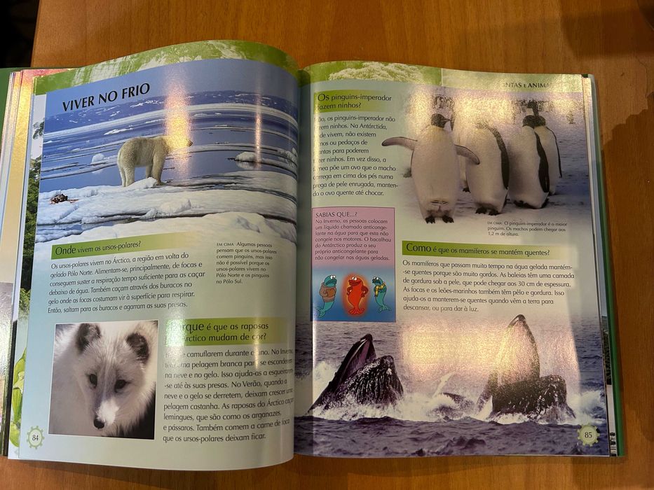 A Enciclopédia do Conhecimento