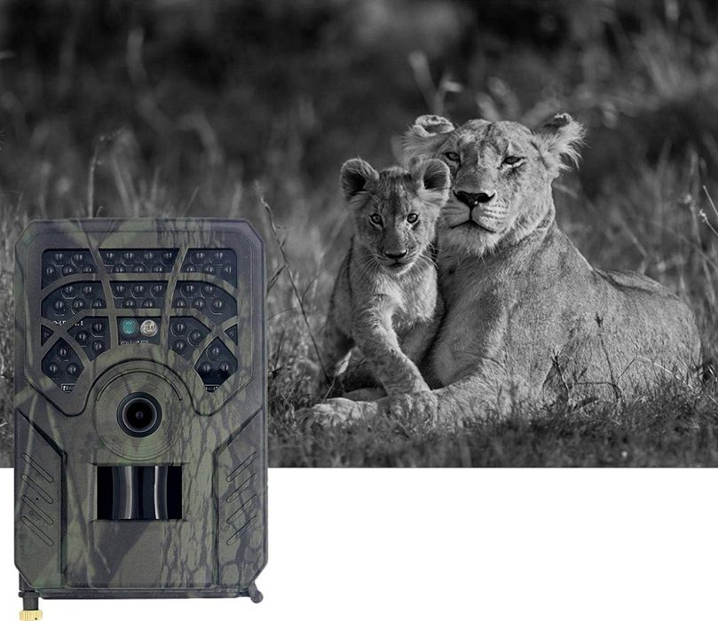 Fotopułapka kamera leśna