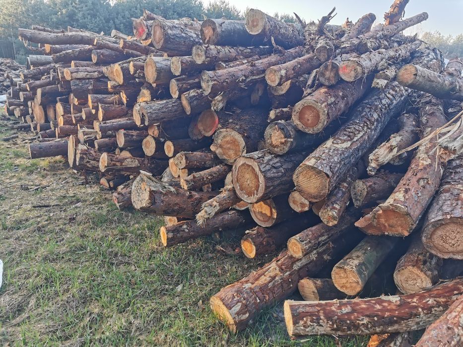 SUCHE Drewno opałowe kominkowe brzoza sosna świerk łupane TRANSPORT