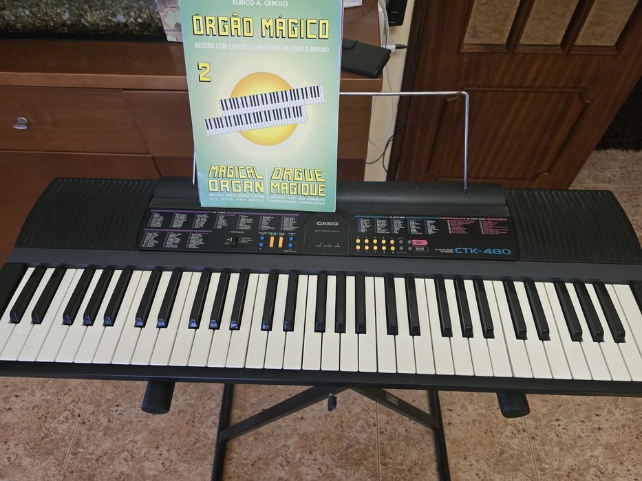 Órgão Casio CTk-480