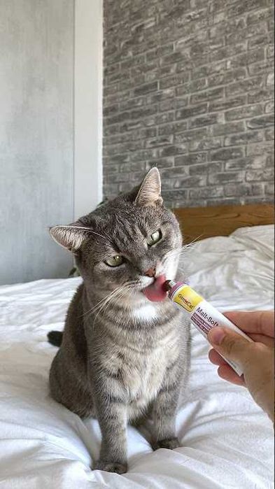 GIMBORN GimCat Malt-Soft Extra 200гр паста  виведення шерсті для котів