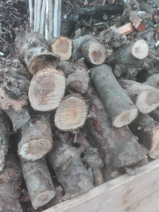 Sprzedam drewno jabłoniowe , na opał, drzewo , drewno