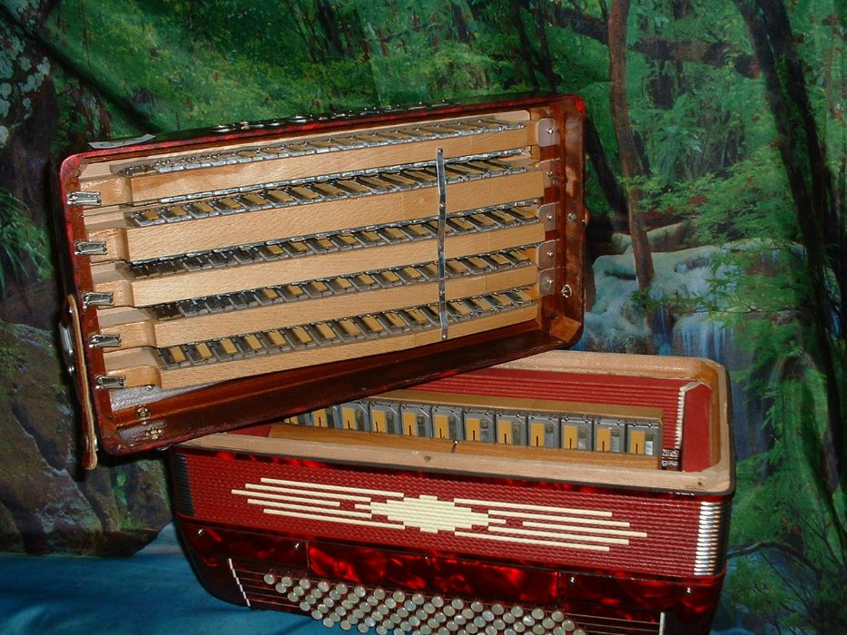 Acordeão avenda G, .675