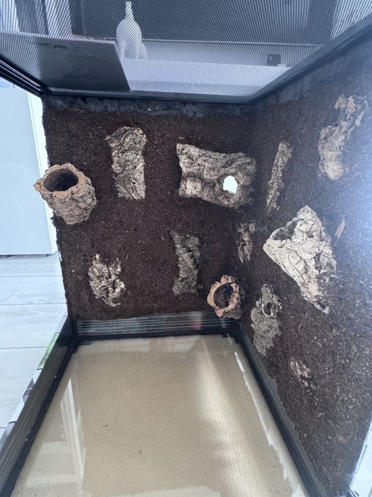 Terrarium kompletny zestaw.