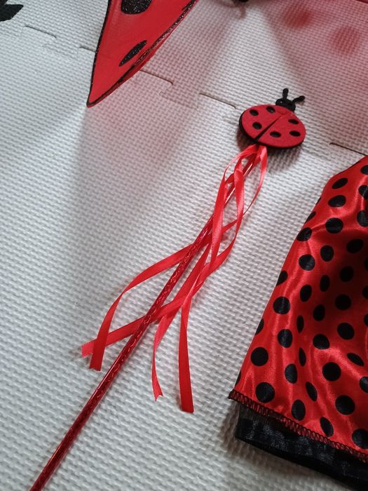 Strój przebranie biedronka