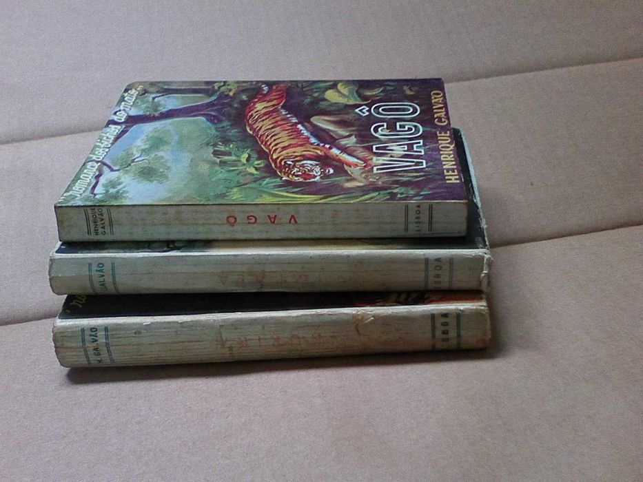 Romances dos bichos do mato -  conjunto