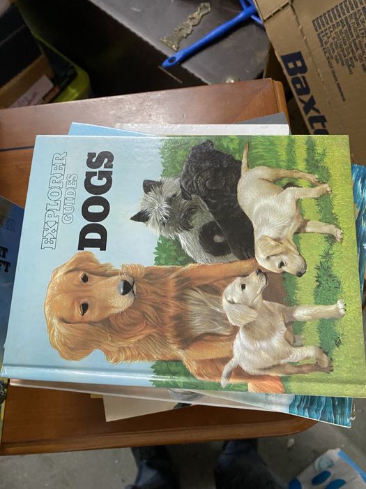 Coleção de livros - Explorer guides