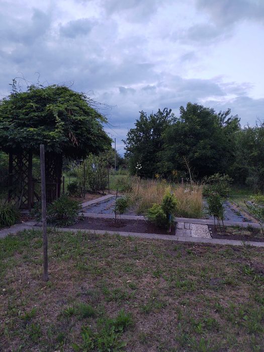 Działka ROD "Maciejka" Wrocław Ołtaszyn ul. Grota-Roweckiego 215