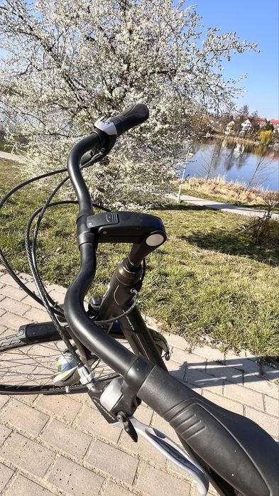 Rower Batavus allround