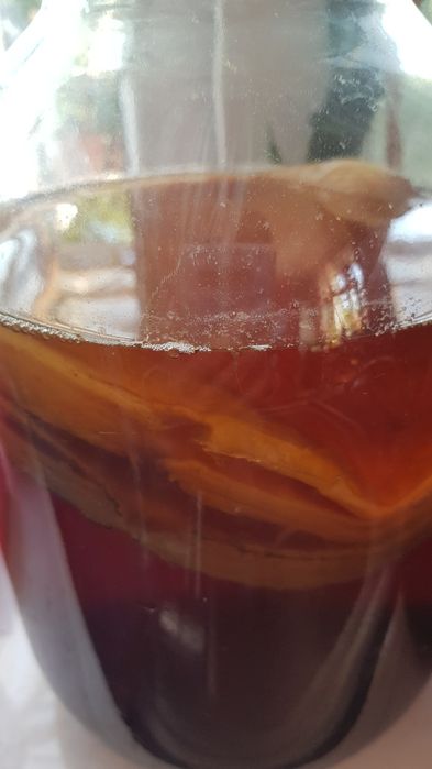 Чайний гриб, Комбуча.