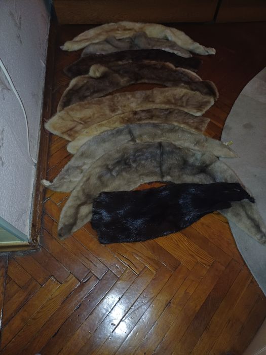 Продам шкурки норок.