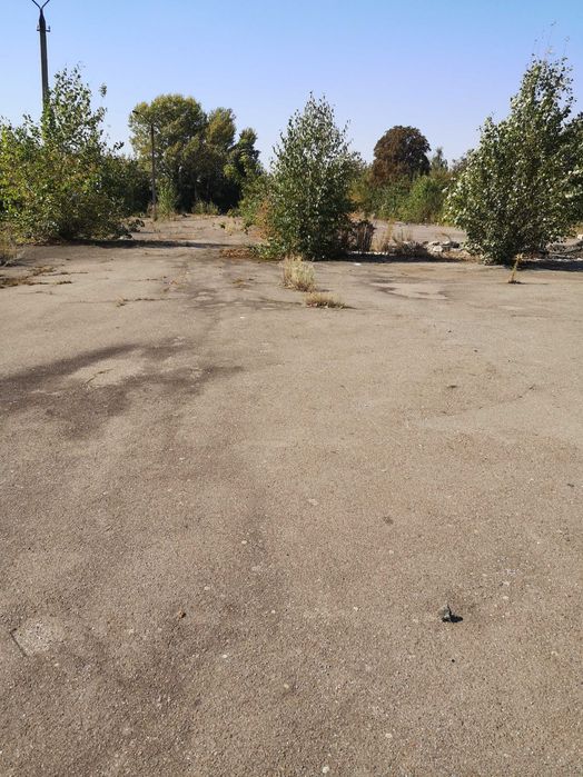 Комерційна нерухомість