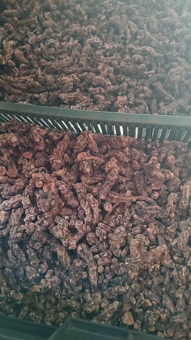Продам корінь калгану