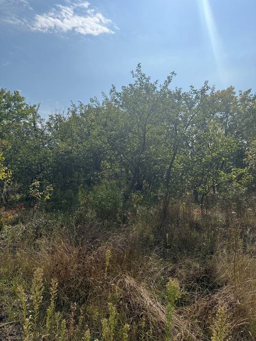 Дача в 12 соток с.Богданівка до річки 1км