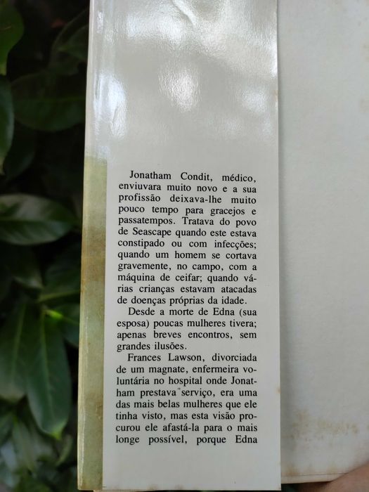 O Solitário (Faith Baldwin)