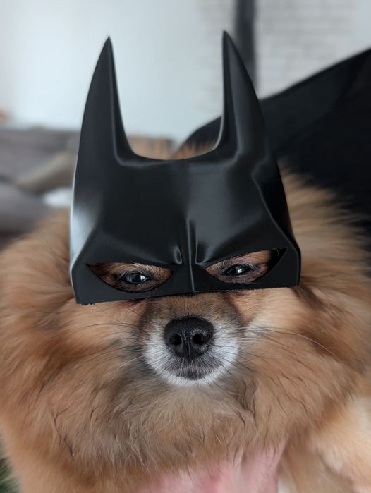 ‼️ Маска Бетмен для домашніх улюбленців тварин