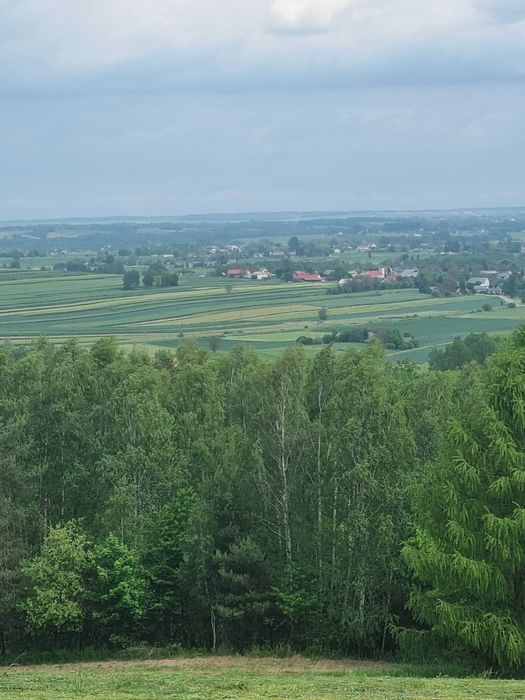 Roztocze Zachodnie Działka Komodzianka Góry - Widok 3