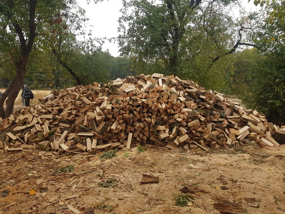 Дрова рубані,колоті.