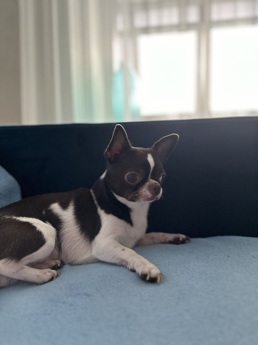 Красунчик шукаю подружку для серьозних відносин