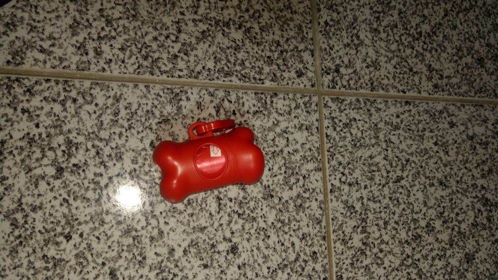 Acessórios cães novos