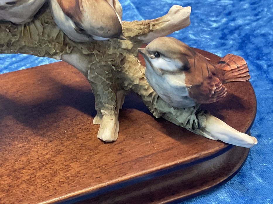 Aves em tronco ,,20 cm longo .
