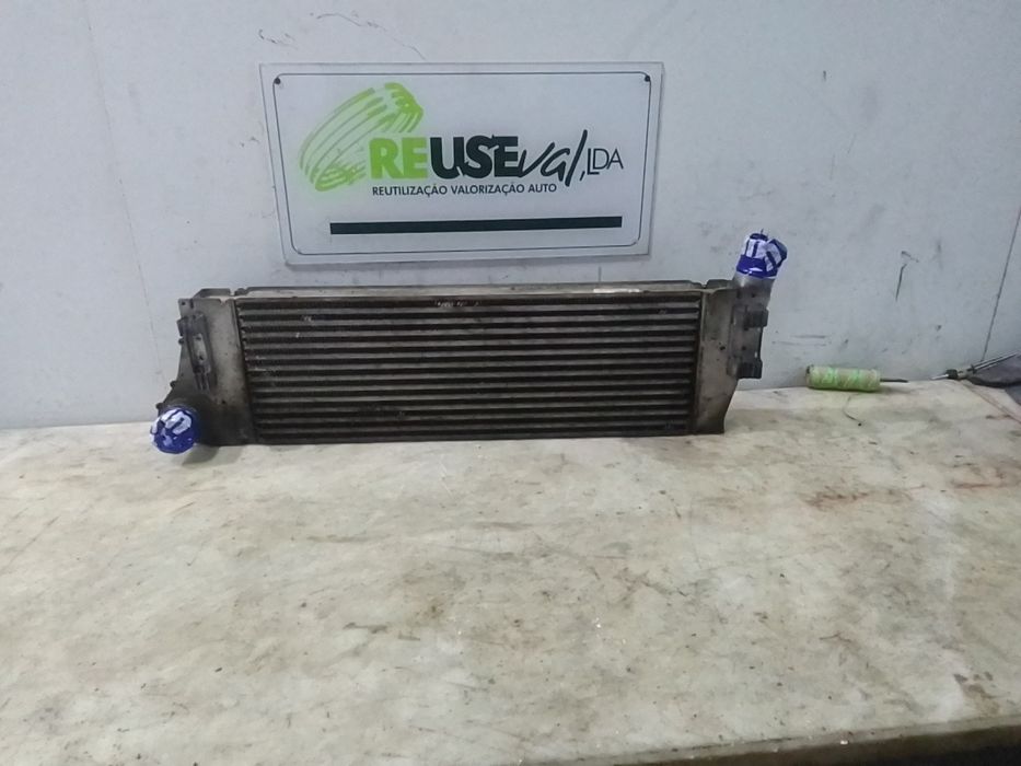 Radiador do intercooler RENAULT Scénic II (JM0/1_)