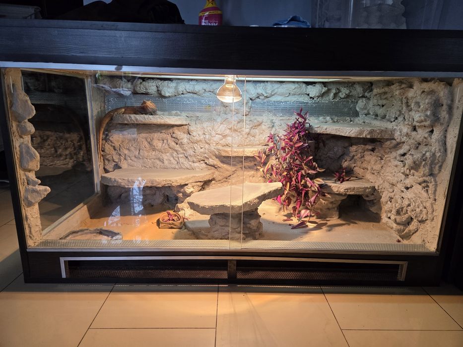 Terrarium 120x60x60