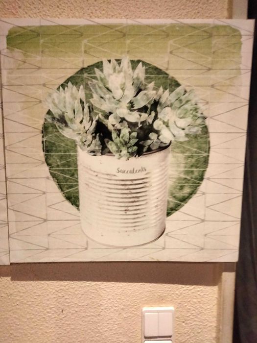Telas de plantas e auculentas