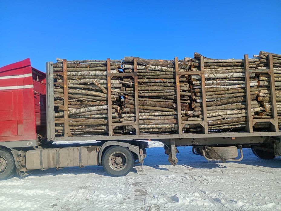 Дрова різних порід