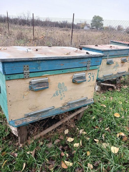 Продам вулики терміново