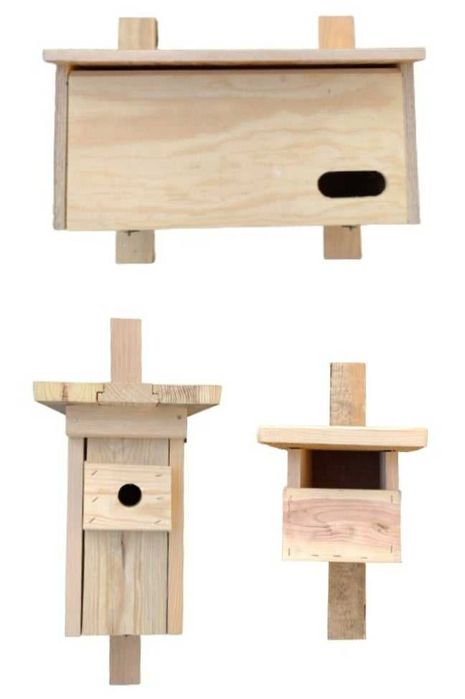 Budki lęgowe dla ptaków