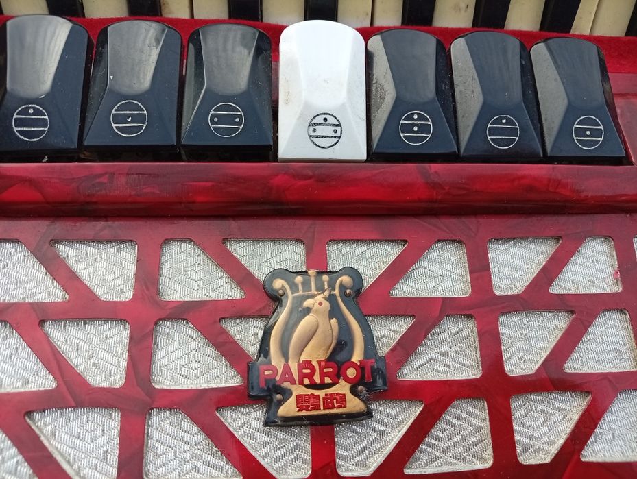 Acordeão Parrot 96 baixos