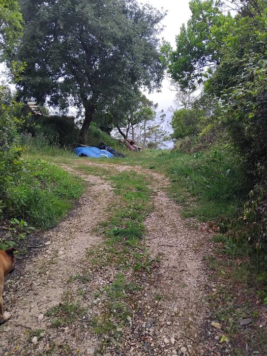 Terrnno rustico, Rustic land for sale ocean view Alcobaca