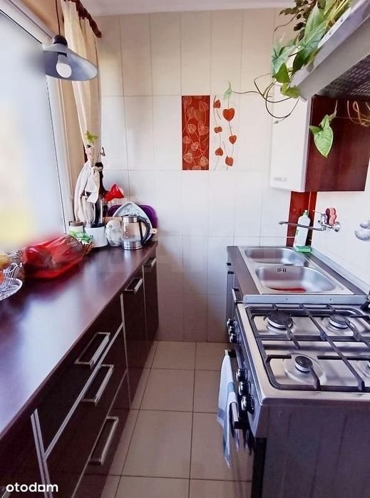 Okazja! 4 pokoje, parter, z wyposażeniem, rej. Cen - View 3