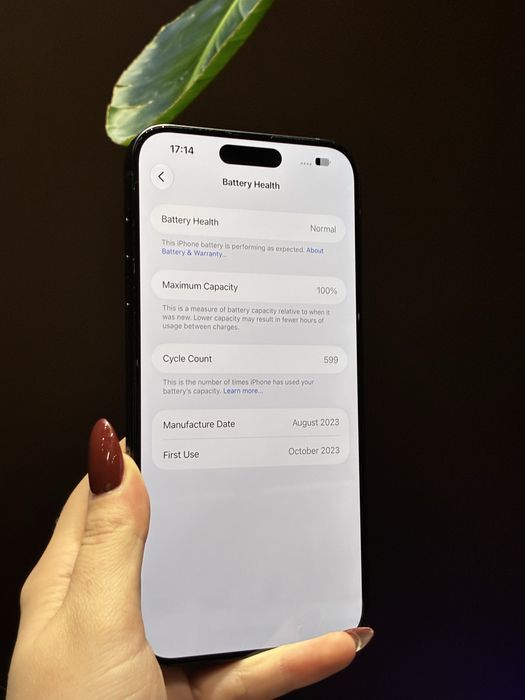 iPhone 15 Pro Max 256GB Tytan Niebieski | Bateria 100% | Rozliczymy Twój iPhone | Gwarancja 12 mies.