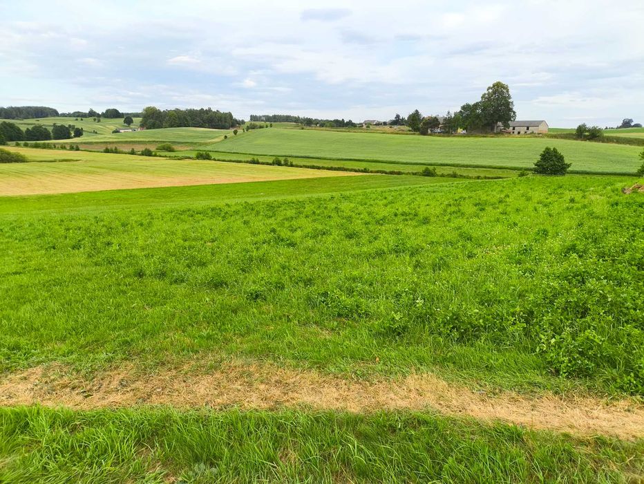 Działka budowlana Połęczyno - Widok 2