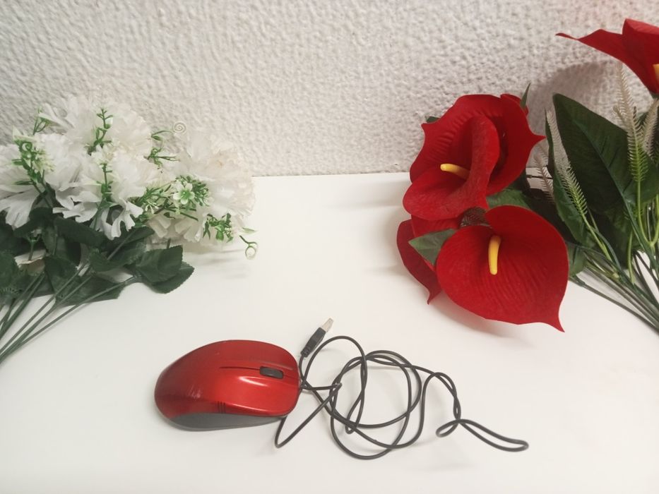 Mouse (semi novo)