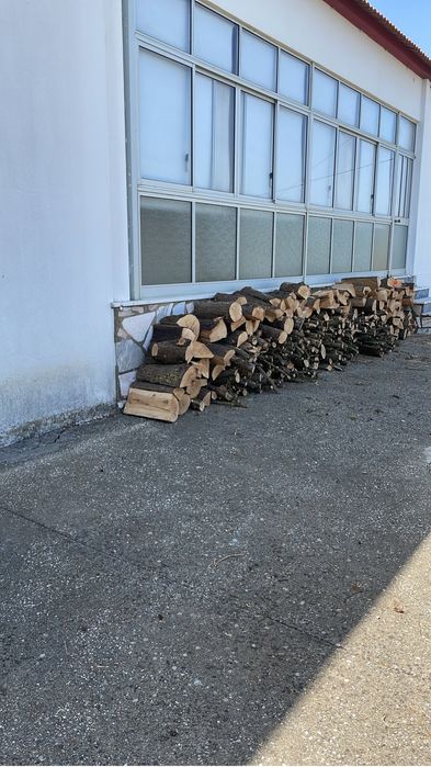 Desbaste e abate de arvores em situacao de risco