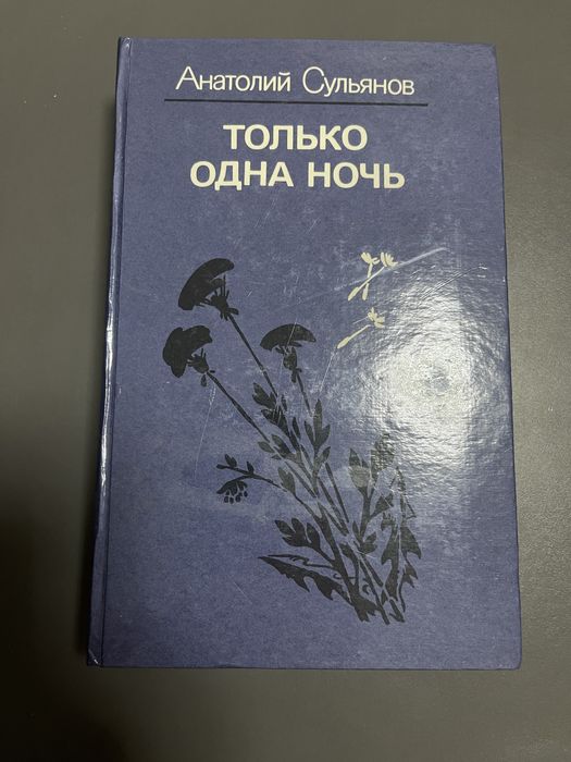 А. Сульянов. Только одна ночь