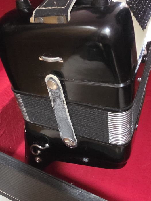 Acordeon Parrot - em bom estado