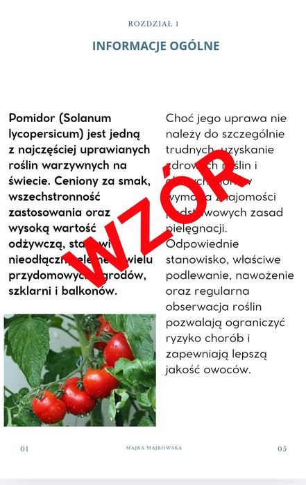 Plakaty, E-booki  Prezentacje – Canva, Przeróbka Zdjęć!
