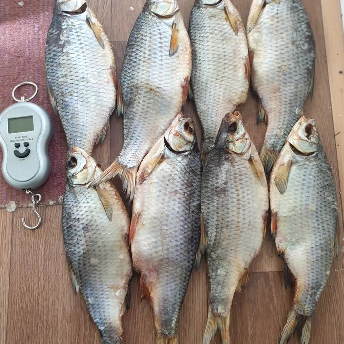 Ікра щуки  дикий вилов  Сушена ікра щучья икра