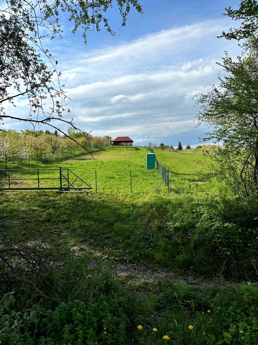 Działka do sprzedania o powierzchni 72 arów - Widok 5