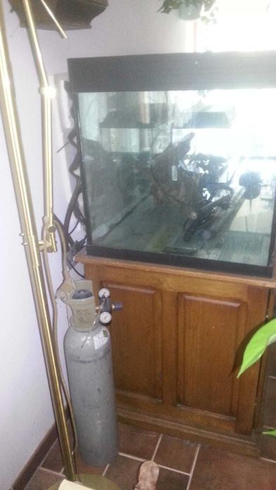 Akwarium 160 wys 55 szer 60