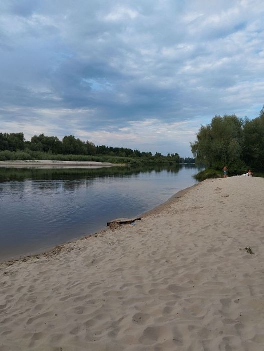 Оренда будиночка біля Десни с. Рожни!