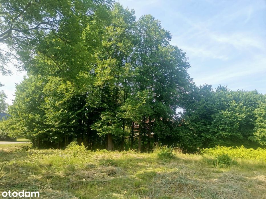 Działka blisko morza, m. Przystawy