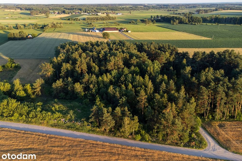 Działka Z Warunkami Zabudowy – 5900 M² – Podhorodnianka