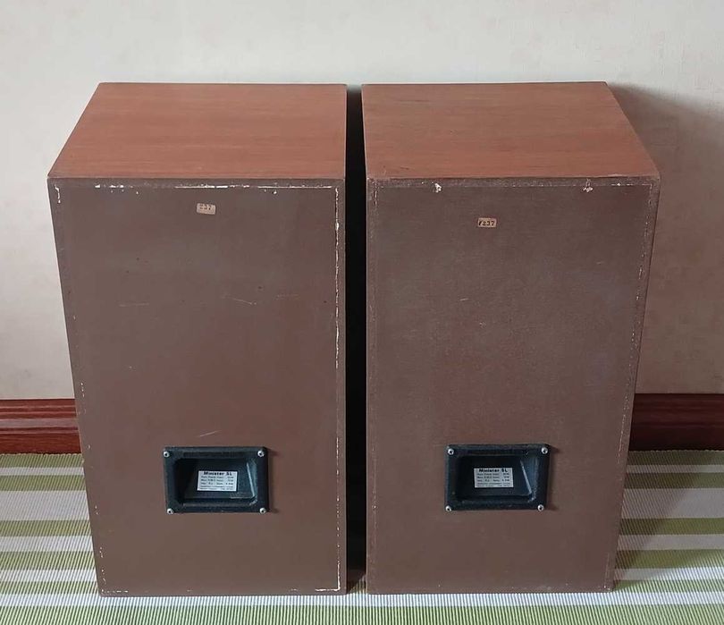 Акустика Goodmans Minister SL